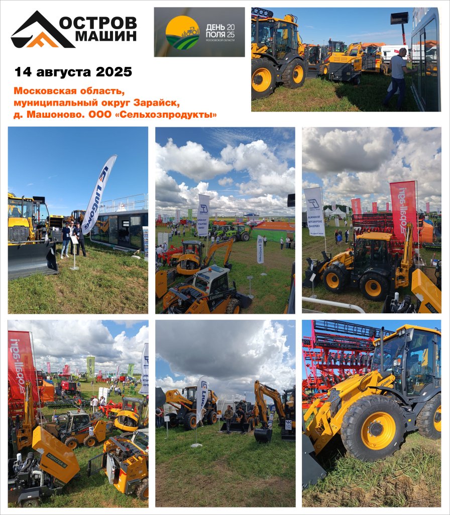 Остров Машин на «Дне поля Московской области»