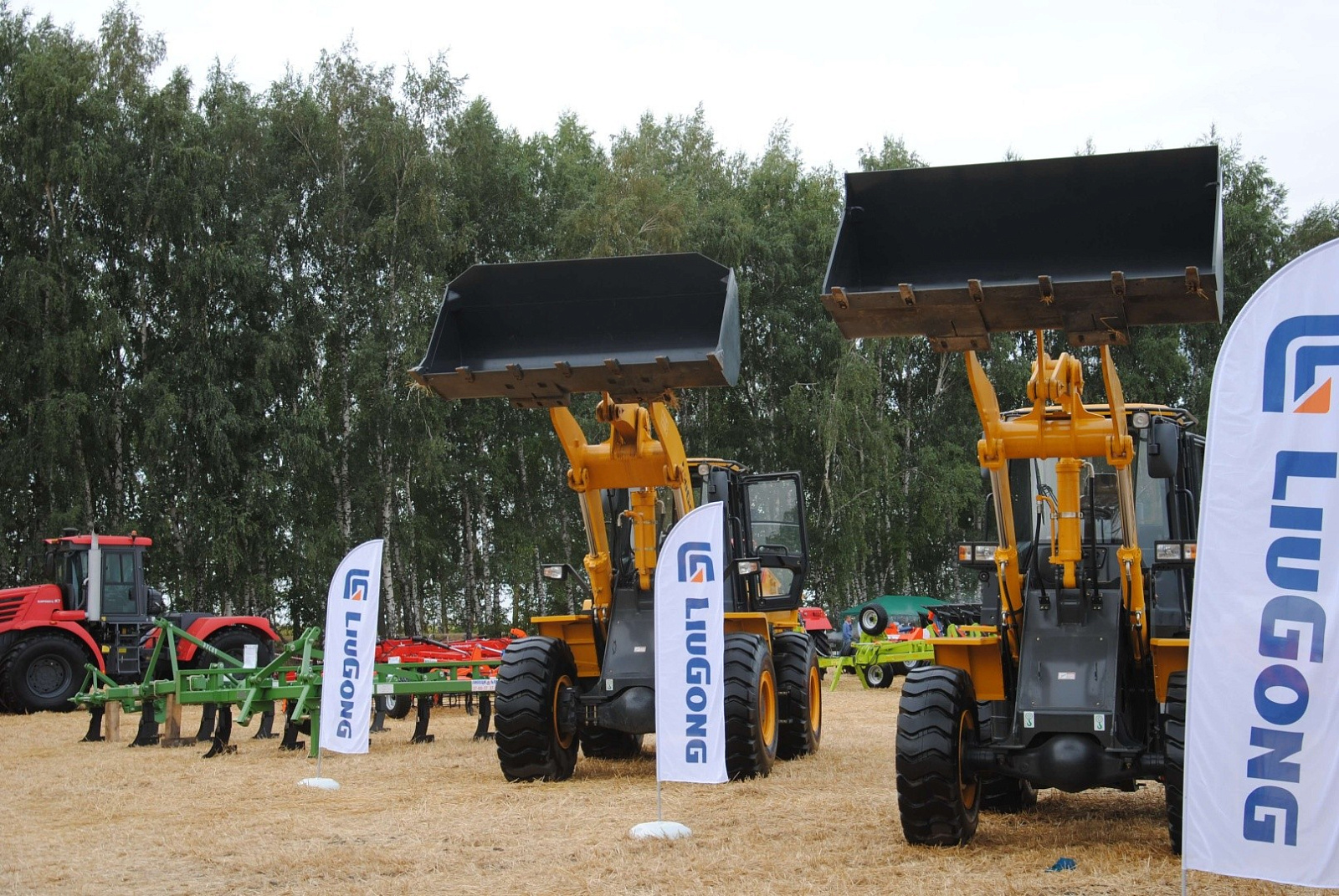 День Липецкого поля 2020